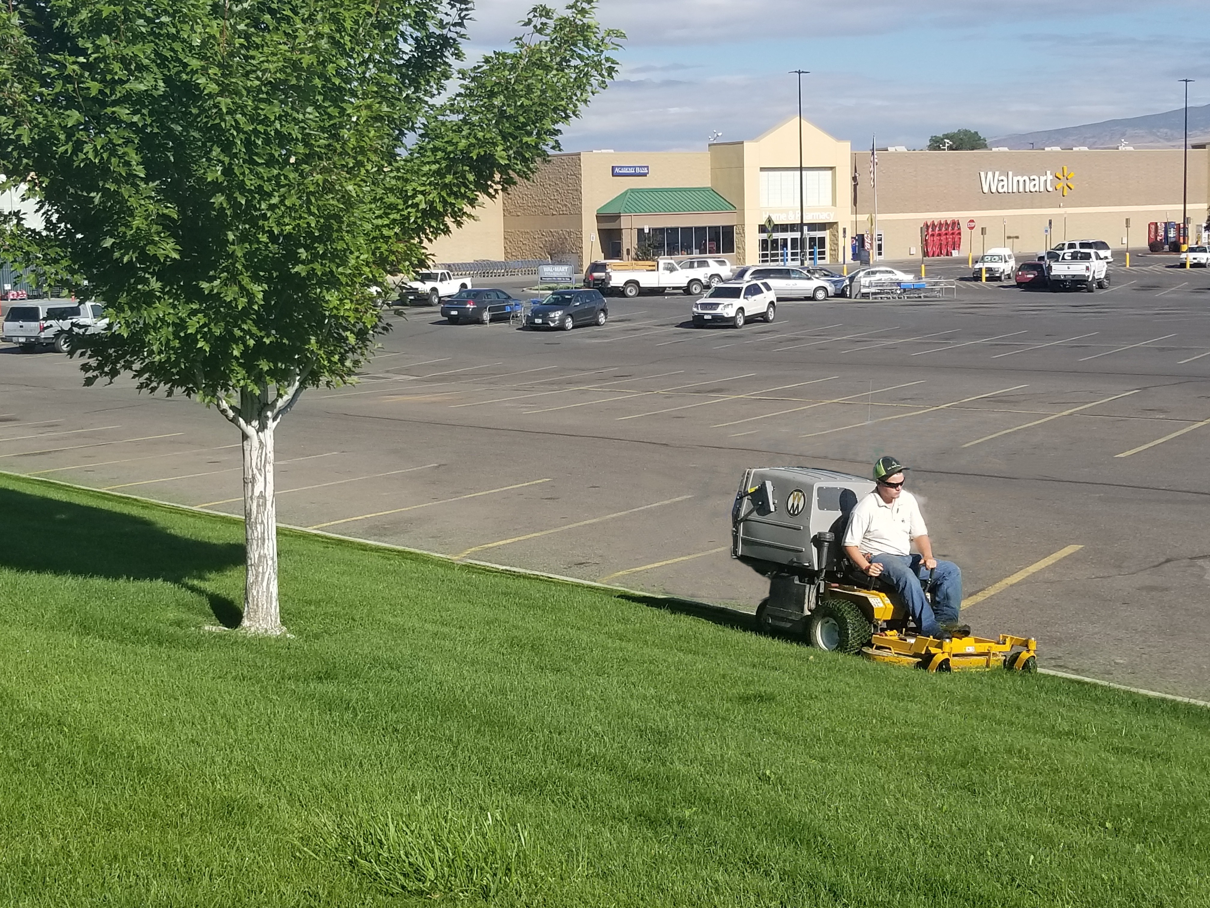 Grass or Lawn Cutting Services Near Me