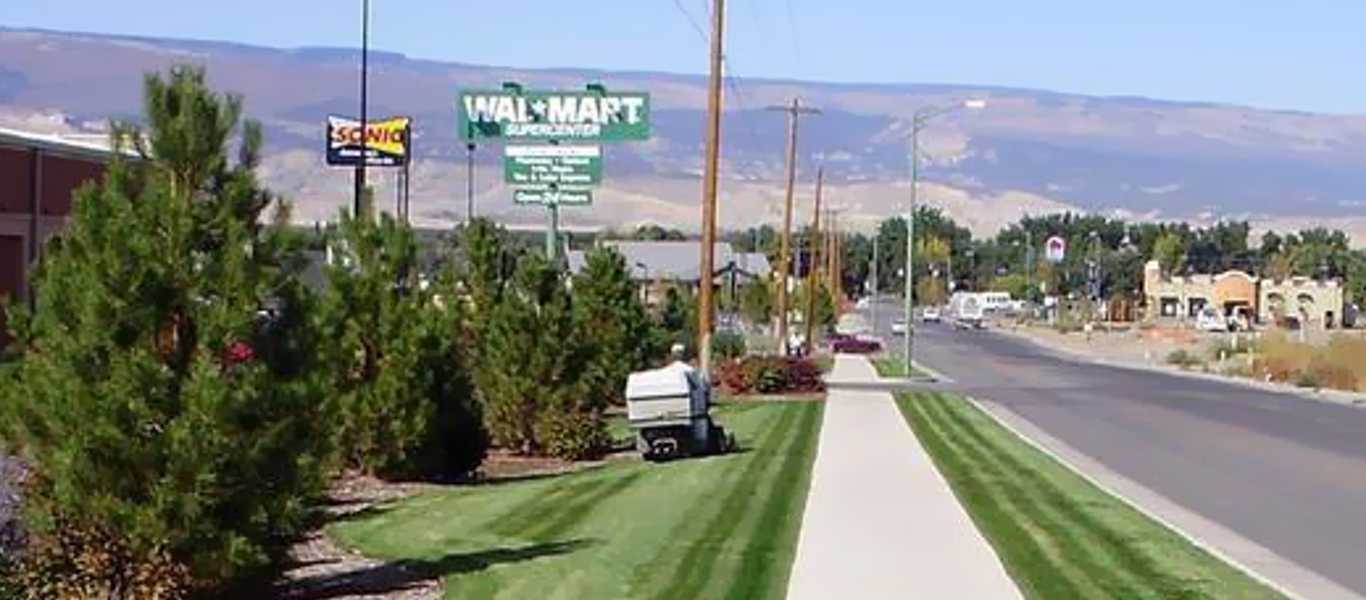 Full service lawn and landscape care